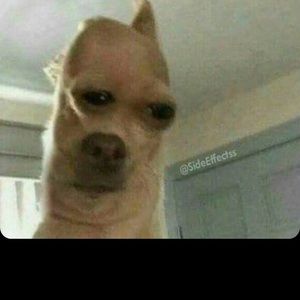 Meet your Posher, Sergio